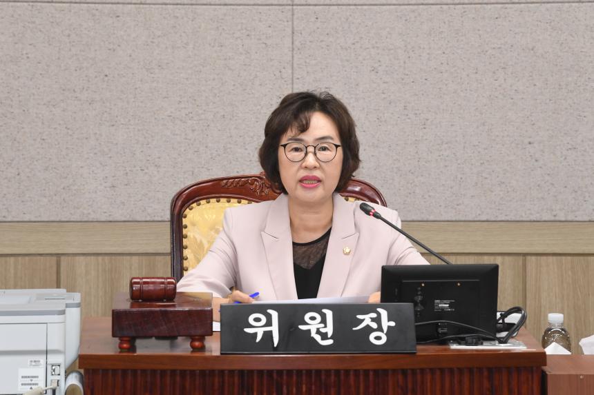 제246회 임시회 행정위원회 조례안심사
