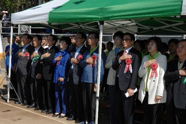 2013 도림동 한마음 체육대회