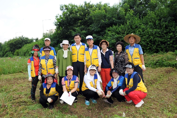 도림천변 자원봉사활동