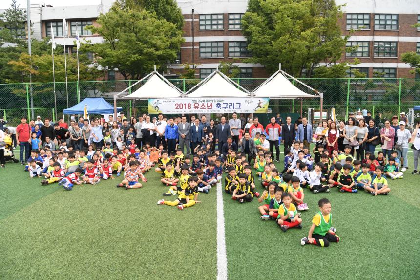 유아축구 주말리그전