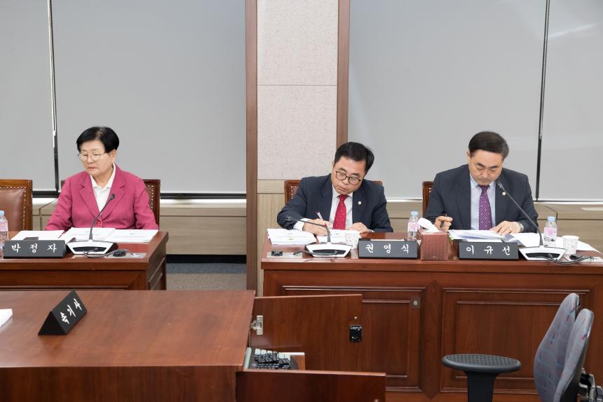 제214회 영등포구의회 2019년도 제1차 정례회 3차 사회건설위원회 업무보고(도시국)