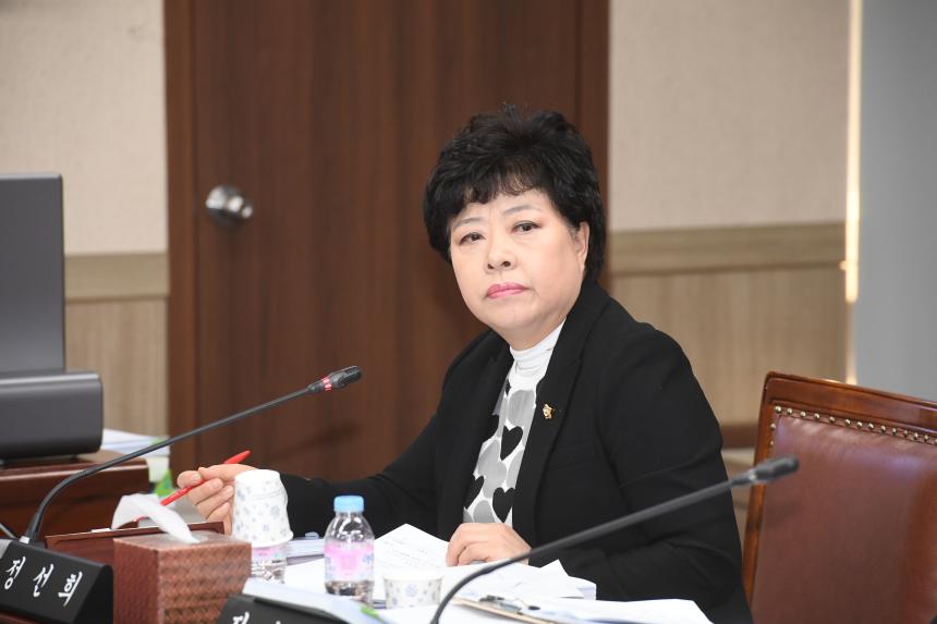 제218회 영등포구의회 2019년도 제2차정례회 행정위원회 업무보고