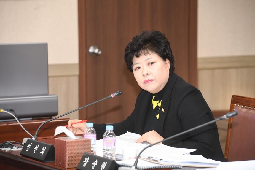 제218회 영등포구의회 2019년도 제2차정례회 행정위원회 업무보고